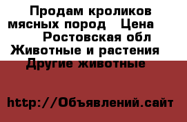 Продам кроликов мясных пород › Цена ­ 150 - Ростовская обл. Животные и растения » Другие животные   